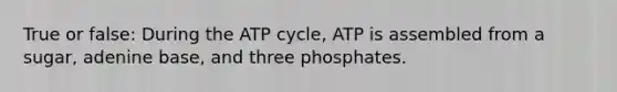 True or false: During the ATP cycle, ATP is assembled from a sugar, adenine base, and three phosphates.