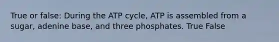 True or false: During the ATP cycle, ATP is assembled from a sugar, adenine base, and three phosphates. True False