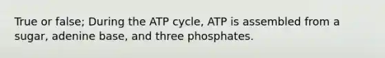 True or false; During the ATP cycle, ATP is assembled from a sugar, adenine base, and three phosphates.