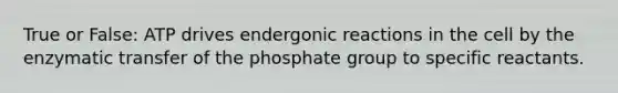 True or False: ATP drives endergonic reactions in the cell by the enzymatic transfer of the phosphate group to specific reactants.