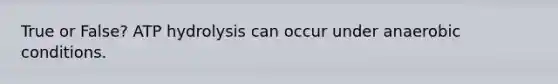 True or False? ATP hydrolysis can occur under anaerobic conditions.