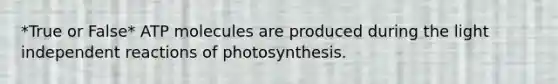 *True or False* ATP molecules are produced during the light independent reactions of photosynthesis.