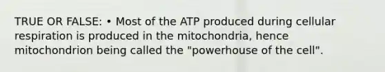 TRUE OR FALSE: • Most of the ATP produced during <a href='https://www.questionai.com/knowledge/k1IqNYBAJw-cellular-respiration' class='anchor-knowledge'>cellular respiration</a> is produced in the mitochondria, hence mitochondrion being called the "powerhouse of the cell".