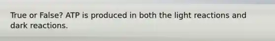 True or False? ATP is produced in both the light reactions and dark reactions.