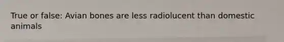True or false: Avian bones are less radiolucent than domestic animals