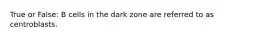 True or False: B cells in the dark zone are referred to as centroblasts.