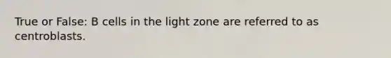 True or False: B cells in the light zone are referred to as centroblasts.