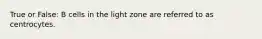 True or False: B cells in the light zone are referred to as centrocytes.