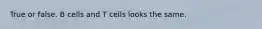 True or false. B cells and T cells looks the same.