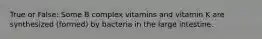 True or False: Some B complex vitamins and vitamin K are synthesized (formed) by bacteria in the large intestine.