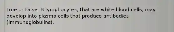 True or False: B lymphocytes, that are white blood cells, may develop into plasma cells that produce antibodies (immunoglobulins).