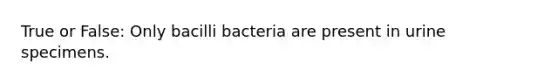 True or False: Only bacilli bacteria are present in urine specimens.