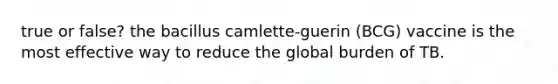 true or false? the bacillus camlette-guerin (BCG) vaccine is the most effective way to reduce the global burden of TB.