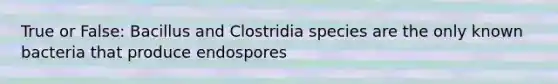 True or False: Bacillus and Clostridia species are the only known bacteria that produce endospores