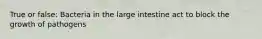 True or false: Bacteria in the large intestine act to block the growth of pathogens