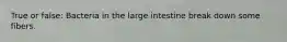 True or false: Bacteria in the large intestine break down some fibers.