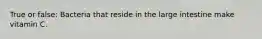 True or false: Bacteria that reside in the large intestine make vitamin C.