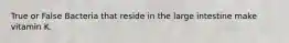 True or False Bacteria that reside in the large intestine make vitamin K.