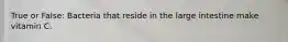 True or False: Bacteria that reside in the large intestine make vitamin C.