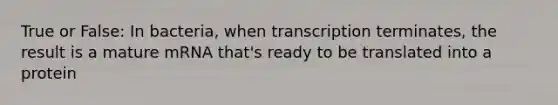 True or False: In bacteria, when transcription terminates, the result is a mature mRNA that's ready to be translated into a protein