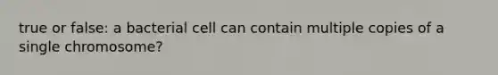 true or false: a bacterial cell can contain multiple copies of a single chromosome?