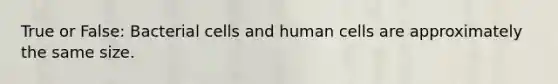 True or False: Bacterial cells and human cells are approximately the same size.