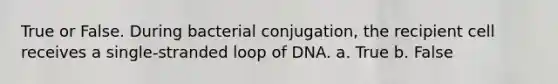 True or False. During bacterial conjugation, the recipient cell receives a single-stranded loop of DNA. a. True b. False