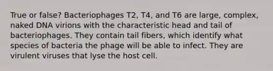 True or false? Bacteriophages T2, T4, and T6 are large, complex, naked DNA virions with the characteristic head and tail of bacteriophages. They contain tail fibers, which identify what species of bacteria the phage will be able to infect. They are virulent viruses that lyse the host cell.