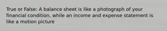 True or False: A balance sheet is like a photograph of your financial condition, while an income and expense statement is like a motion picture