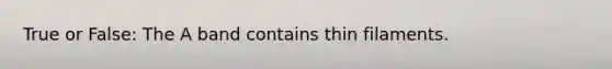 True or False: The A band contains thin filaments.