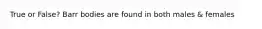 True or False? Barr bodies are found in both males & females