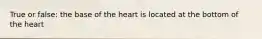 True or false: the base of the heart is located at the bottom of the heart