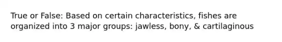 True or False: Based on certain characteristics, fishes are organized into 3 major groups: jawless, bony, & cartilaginous