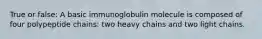 True or false: A basic immunoglobulin molecule is composed of four polypeptide chains: two heavy chains and two light chains.