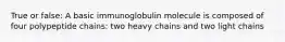 True or false: A basic immunoglobulin molecule is composed of four polypeptide chains: two heavy chains and two light chains