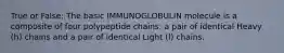 True or False: The basic IMMUNOGLOBULIN molecule is a composite of four polypeptide chains: a pair of identical Heavy (h) chains and a pair of identical Light (l) chains.