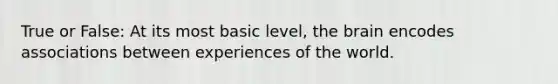 True or False: At its most basic level, the brain encodes associations between experiences of the world.