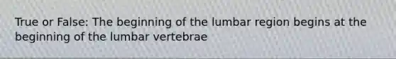 True or False: The beginning of the lumbar region begins at the beginning of the lumbar vertebrae