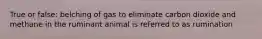 True or false: belching of gas to eliminate carbon dioxide and methane in the ruminant animal is referred to as rumination