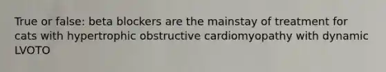 True or false: beta blockers are the mainstay of treatment for cats with hypertrophic obstructive cardiomyopathy with dynamic LVOTO