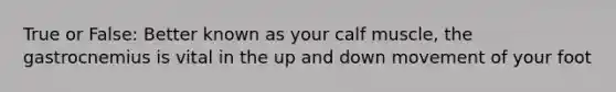 True or False: Better known as your calf muscle, the gastrocnemius is vital in the up and down movement of your foot
