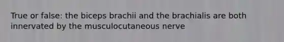 True or false: the biceps brachii and the brachialis are both innervated by the musculocutaneous nerve