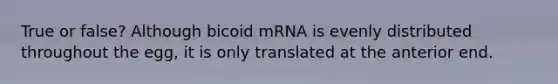 True or false? Although bicoid mRNA is evenly distributed throughout the egg, it is only translated at the anterior end.