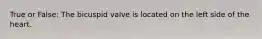 True or False: The bicuspid valve is located on the left side of the heart.