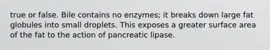 true or false. Bile contains no enzymes; it breaks down large fat globules into small droplets. This exposes a greater surface area of the fat to the action of pancreatic lipase.