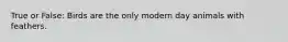 True or False: Birds are the only modern day animals with feathers.