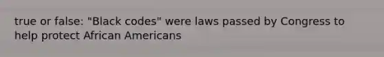 true or false: "Black codes" were laws passed by Congress to help protect African Americans