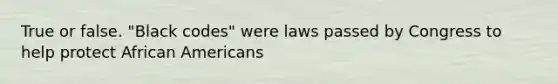 True or false. "Black codes" were laws passed by Congress to help protect African Americans