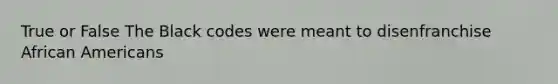 True or False The Black codes were meant to disenfranchise African Americans
