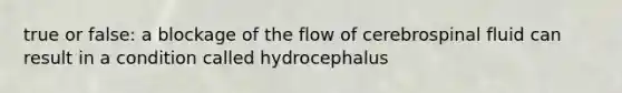 true or false: a blockage of the flow of cerebrospinal fluid can result in a condition called hydrocephalus